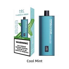 Maskking Turbo 10000 Cool Mint